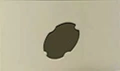 盾