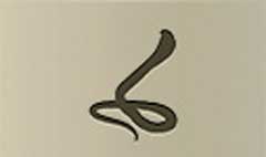 Snake silhouette