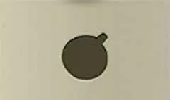 水筒