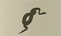 Snake silhouette #3