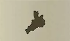 ブドウ