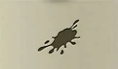 染み