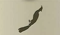 鳥