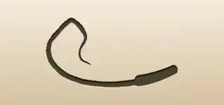 Whip