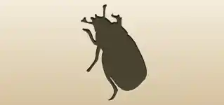 Beetle