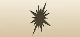 Wind Rose