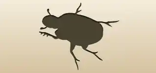 Beetle