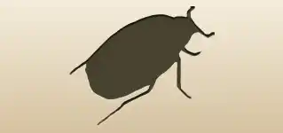 Beetle