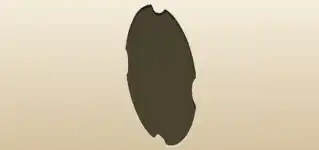 Shield