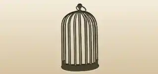 Birdcage