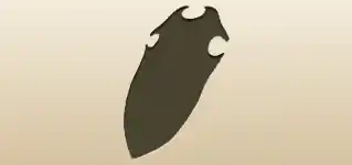 Shield