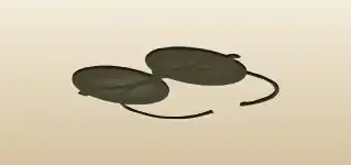 Eyeglasses