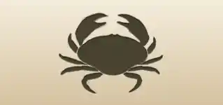 Crab