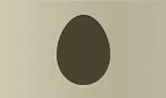 Dinasour Egg silhouette