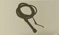 Whip silhouette