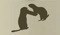 Gophers silhouette