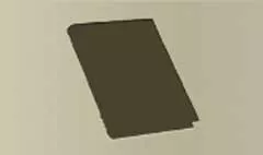 Book of Rituals silhouette