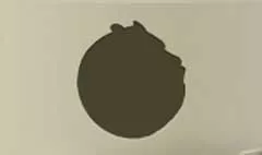 Armadillo silhouette