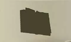 Book of Rituals silhouette