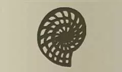 Nautilus Shell silhouette
