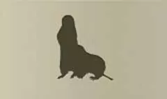 Gophers silhouette