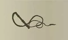 Whip silhouette