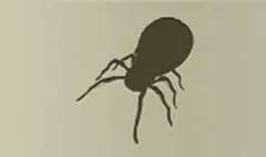 Mechanical Spider silhouette