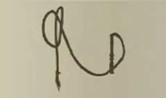 Whip silhouette