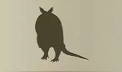 Armadillo silhouette