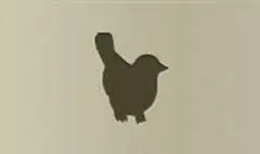 Canary silhouette