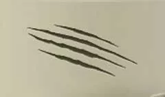 Scraches silhouette