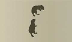 Gophers silhouette