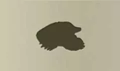 Mole silhouette