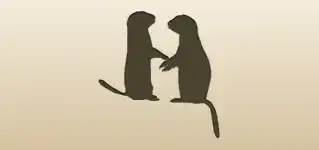 Gophers