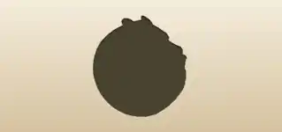 Armadillo