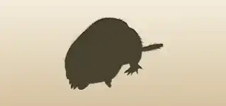 Mole