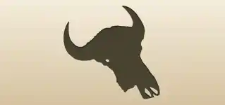 Animal Skull