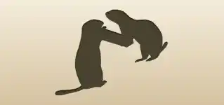Gophers