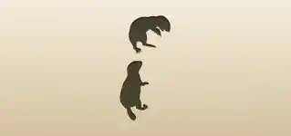 Gophers