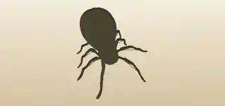 Mechanical Spider