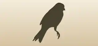 Canary