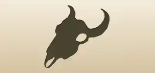 Animal Skull
