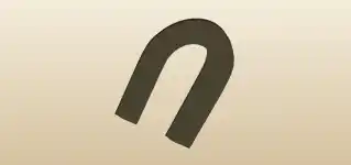 Magnet