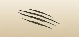 Scratches