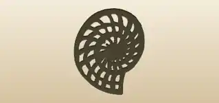 Nautilus Shell