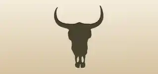 Animal Skull