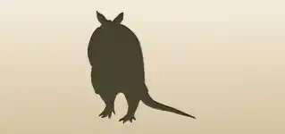 Armadillo