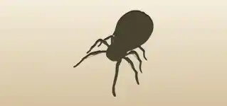 Mechanical Spider