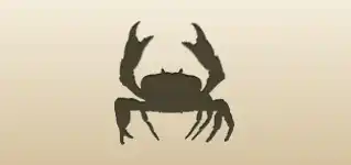 Crab