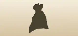 Sack